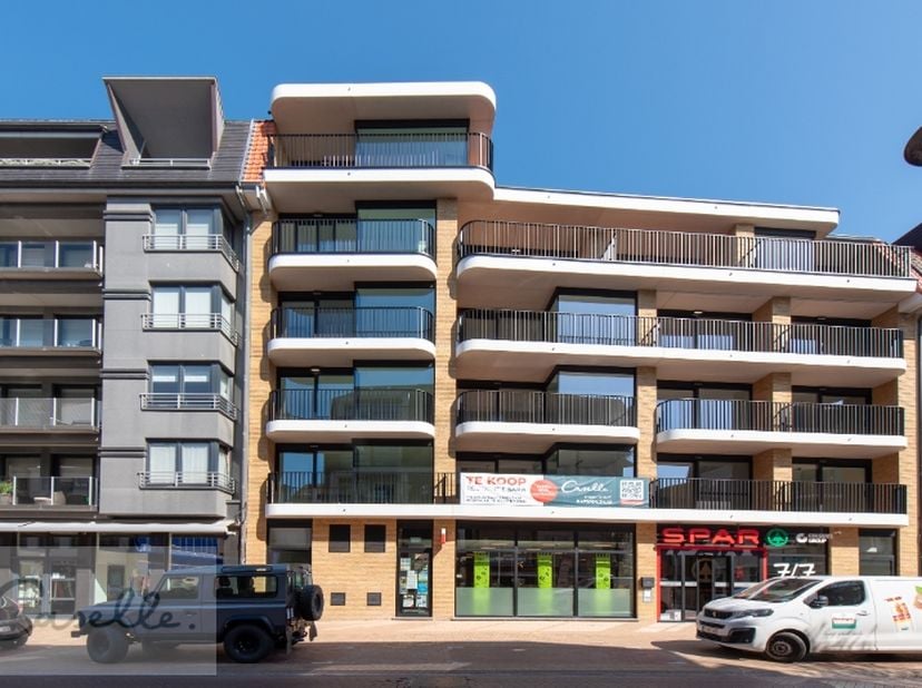 Appartement te koop
                    in 8420 Wenduine