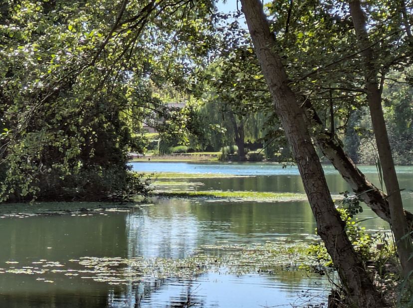 Deze exclusieve bouwgrond is gelegen in het golf &amp; meer domein en heeft een uniek zicht op het meer van Keerbergen.&lt;br /&gt;
De bouwgrond heeft een zuide