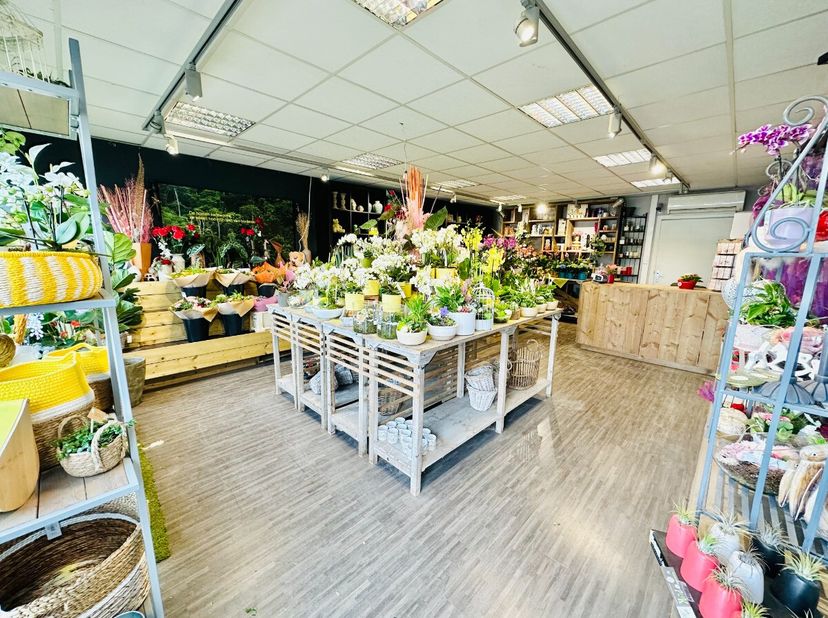 Vente : Propriété commerciale à un emplacement de choix à Wervik Opportunité unique de reprendre une boutique commerciale clé en main sur un emplaceme