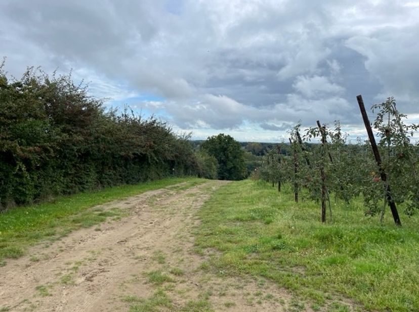 Terrain à vendre
                    à 3545 Loksbergen