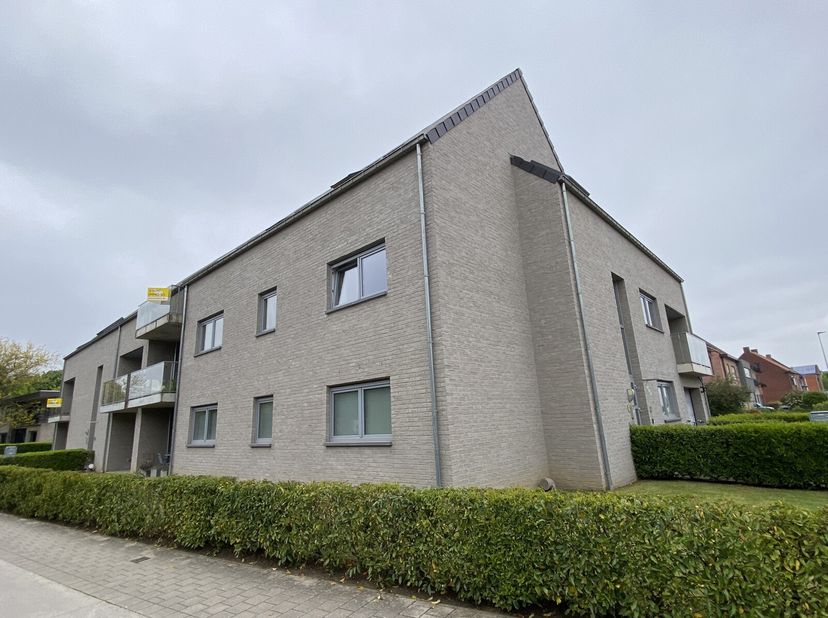 Appartement à louer
                    à 2440 Geel