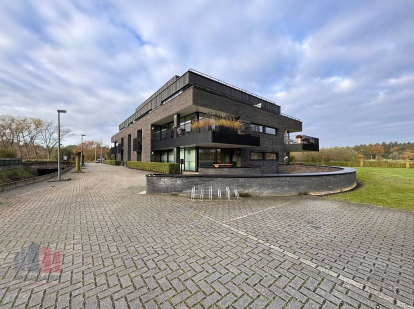 Bien professionnel à vendre
                    à 8210 Zedelgem