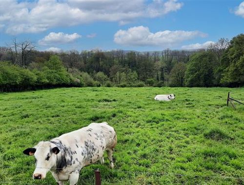                                         Bouwgrond te koop in Thy-le-Château, € 150.000

