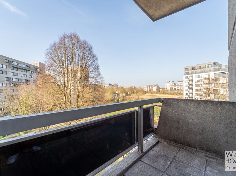 Spacieux et lumineux studio à RÉNOVER avec terrasse et cave. Très beau potentiel dans une copropriété avec un parc et près des transports en commun.&lt;b
