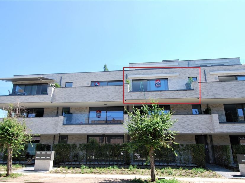 Appartement à louer
                    à 3680 Maaseik