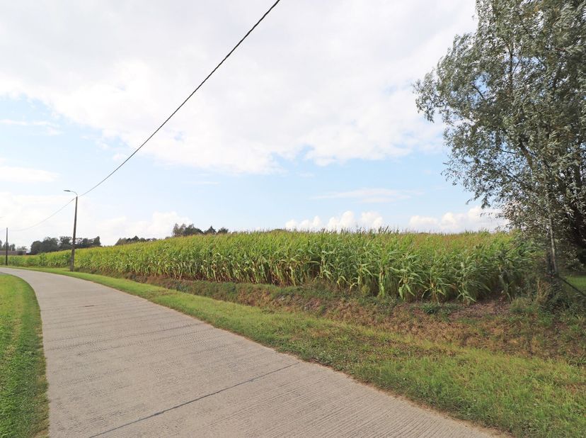 Terrain à vendre
                    à 8740 Pittem