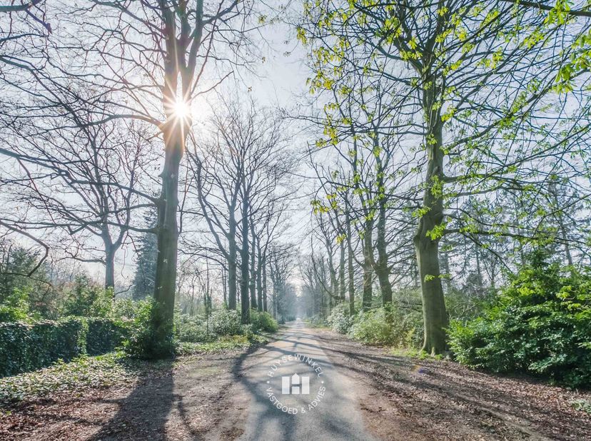 Deze uniek gelegen bouwgrond bevindt zich in de rustige en groene bossen van Latem, op een perceel van 3.592 m². De omgeving biedt een schitterende na