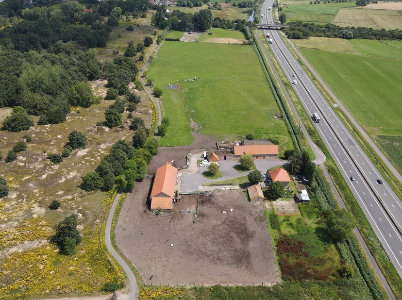 In de Ringslotstraat te Adinkerke vinden we dit rundveebedrijf te koop. Deze bestaat uit stallingen, bijgebouwen en een woning.&lt;br /&gt;
Aan deze bedrijf
