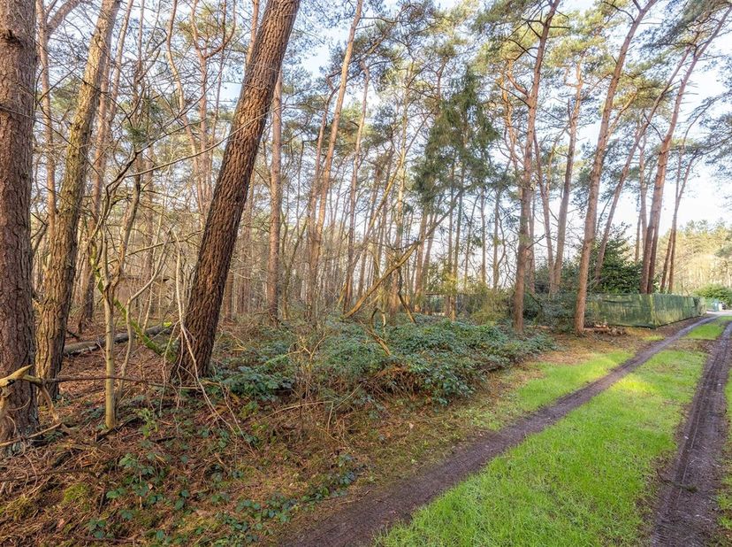 Terrain à vendre
                    à 2290 Vorselaar