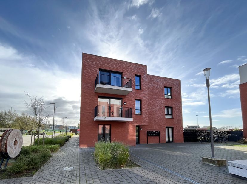 Appartement à louer
                    à 2890 Oppuurs