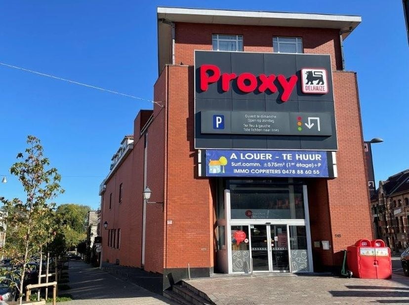 Comfortabel appartement met 2 terrassen, berging en mogelijkheid tot parking.&nbsp; Voorzien van 2 s