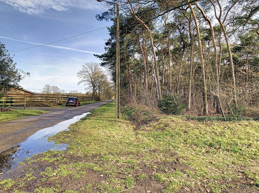 PLUSPUNTEN:&lt;br /&gt;
+ perceeloppervlakte: 16.501 m²&lt;br /&gt;
+ gelegen aan de Kakebeekstraat&lt;br /&gt;
+ omgeving Kreyelerheide&lt;br /&gt;
+ aard is bos&lt;br /&gt;
+ gew