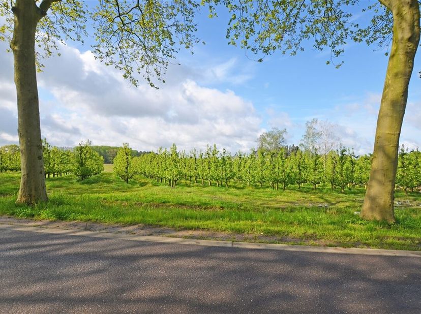 Terrain à vendre
                    à 3500 Hasselt