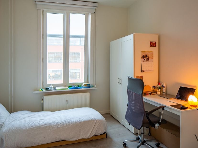Deze studentenkamer ligt in een kleinschalige residentie, enerzijds op een steenworp van het station van Leuven, en anderzijds vlakbij het historische