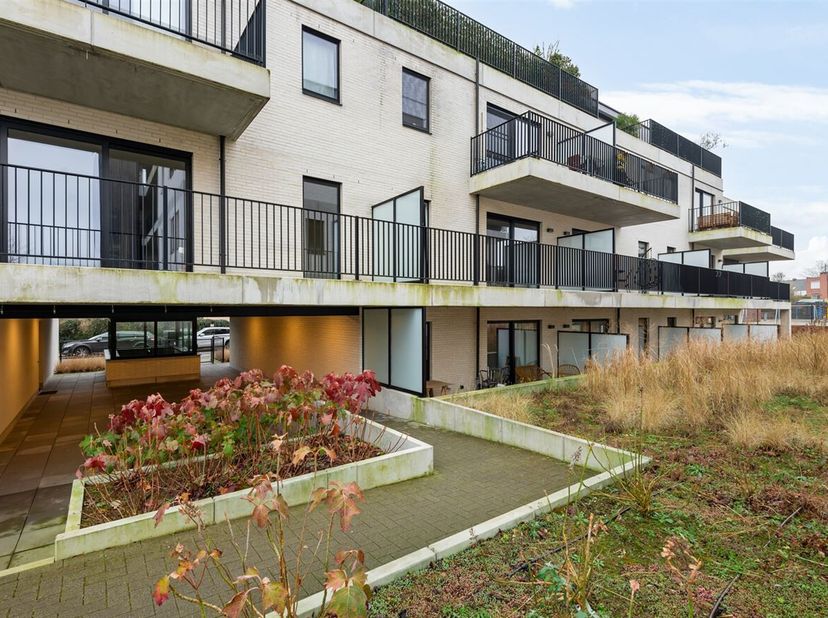 Dit appartement is gelegen in de Gelaagstraat te Steendorp, een rustige en aangename woonwijk met een vlotte verbinding naar nabijgelegen steden en he
