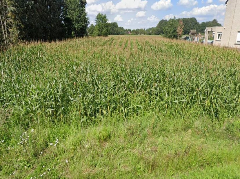 Projectgrond te koop in Heusden-Zolder – Garenstraat&lt;br /&gt;
&lt;br /&gt;
Locatie: Garenstraat, 3550 Heusden-Zolder  &lt;br /&gt;
Oppervlakte: 1.990 m²  &lt;br /&gt;
Vraa