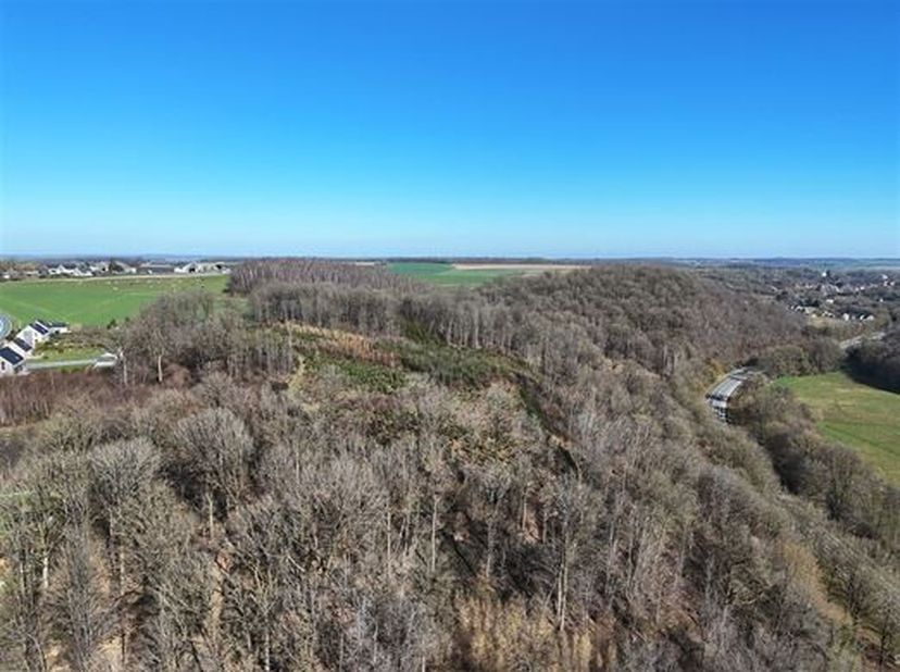 Ensemble forestier de près de 16 ha majoritairement feuillu, formant un ensemble cohérent et de forme régulière. &lt;br /&gt;
Le sol est de bonne qualité fo