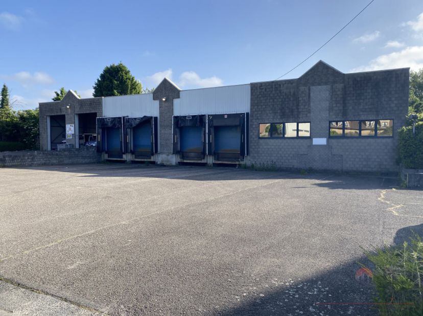 Logistiek magazijn te huur in Denderleeuw strategisch gelegen tussen Aalst en Denderleeuw. Het magazijn van 1.500 m² beschikt over 4 laad- en loskades