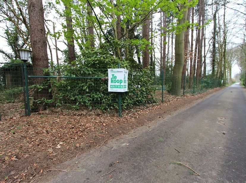 Zéér rustig gelegen perceel grond met een oppervlakte van 2040 m². Dit volledig te renoveren vakantieverblijf is gelegen in de Lange dreef 6 te Jabbek