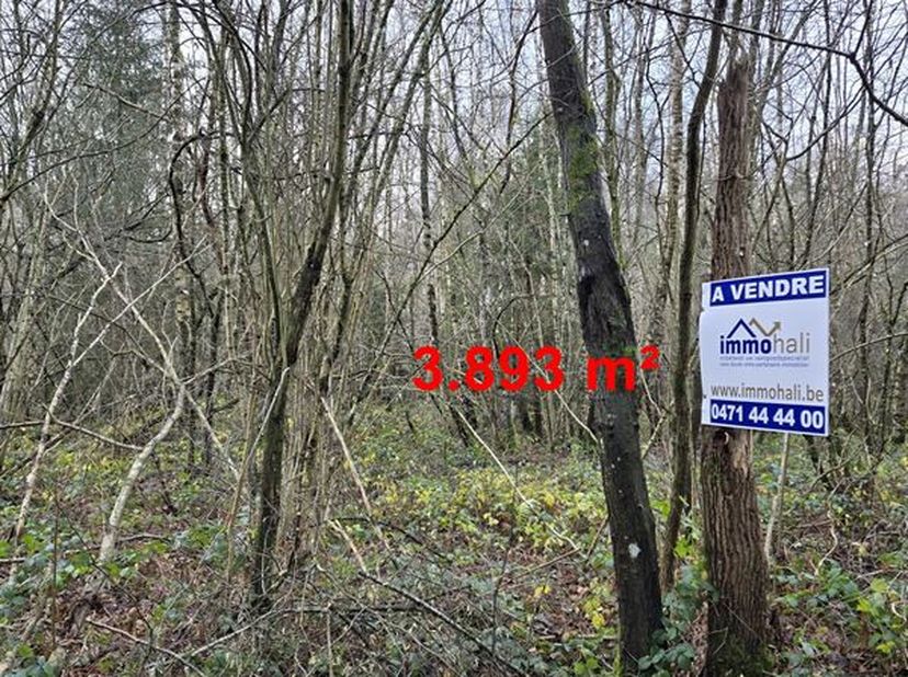 Terrain à vendre
                    à 6997 Soy