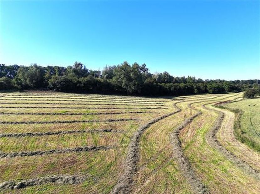 Belle prairie libre d&#039;occupation fin décembre 2024.&lt;br /&gt;
Accès aisé.&lt;br /&gt;
Terrain non constructible