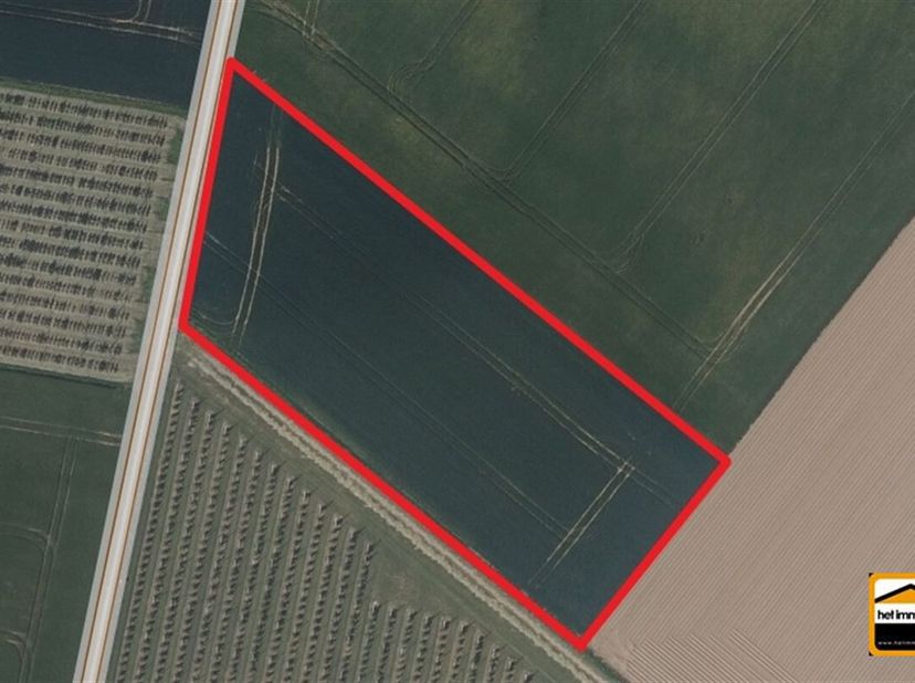 2 percelen landbouwgrond met een totale oppervlakte van 50a 76ca&lt;br /&gt;
Deze 2 percelen landbouwgrond zijn gelegen te Aalst (Sint-Truiden).&lt;br /&gt;
Het b