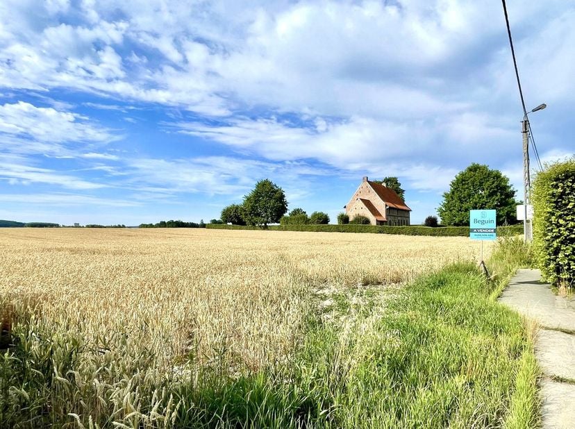 Zeer mooi perceel, ideaal gelegen niet ver van het centrum van het dorp Dergneau (Frasnes-lez-Anvaing). De nabijheid van de winkels, warenhuizen, scho