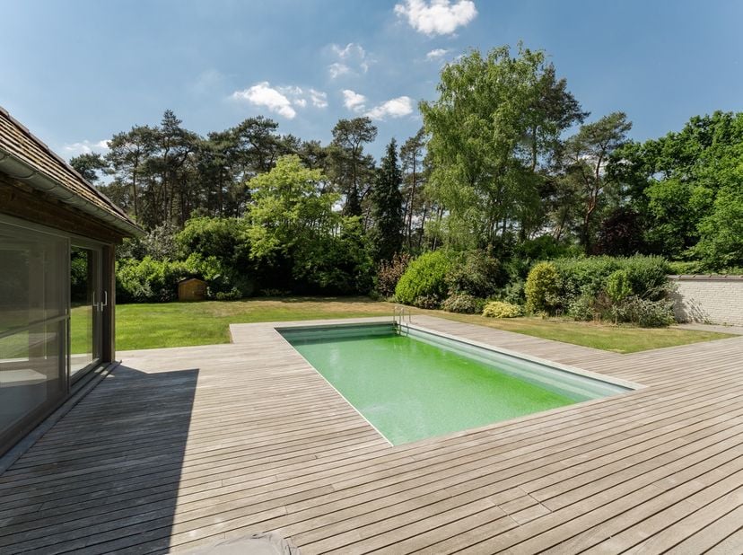 Maison à vendre
                    à 3910 Neerpelt