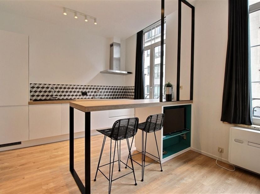 Centre-ville: Magnifique appartement 1 chambre meublé &amp; rénové, Qualité de standing très supérieur ! Ce bien vous offrira un confort complet par sa lu