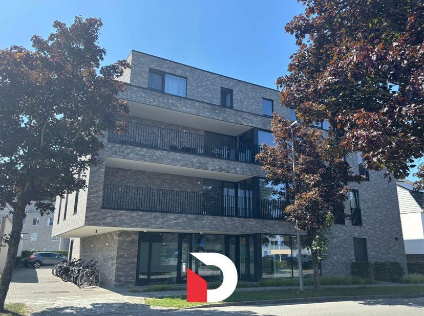 Appartement à louer
                    à 8000 Sint-Pieters