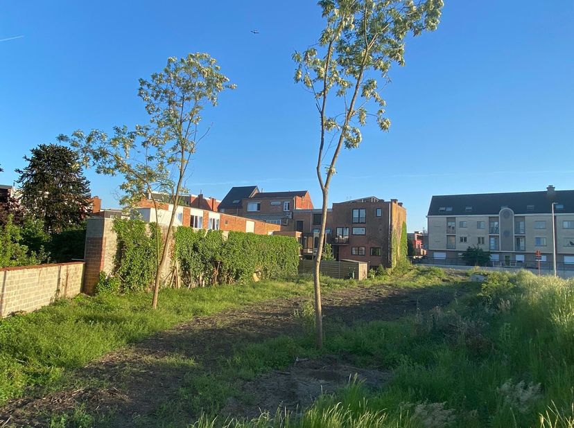 Unieke projectgrond aan met een totale oppervlakte van 984 m². De grond wordt verkocht inclusief architecturale plannen, sonderingsverslag, betonstudi