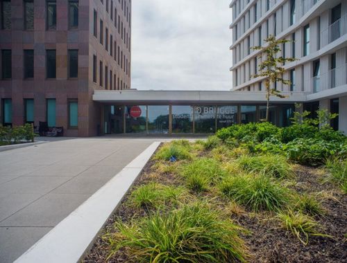                             Kot-Colocation à vendre à Brugge
