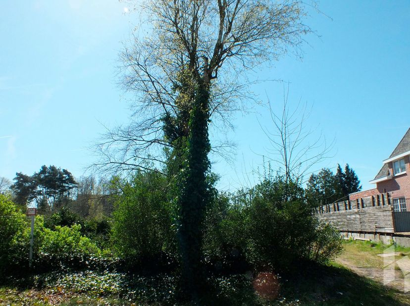 Terrain à vendre
                    à 3920 Lommel