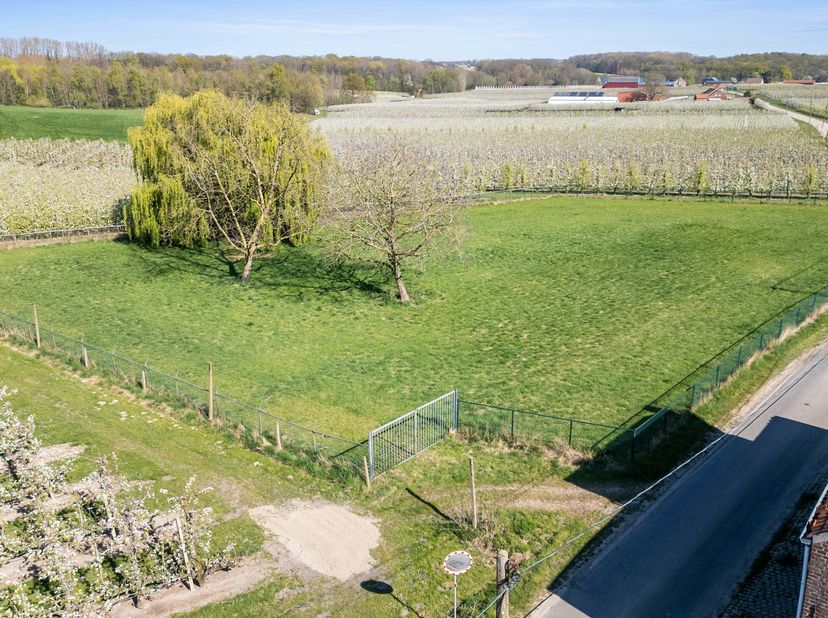 Meensel Kiezegem - Omheinde weide van 40a&lt;br /&gt;
Gelegen aan de Nijselrodestraat te Meensel Kiezegem.&lt;br /&gt;
Volledig omheind en voorzien van een poort.