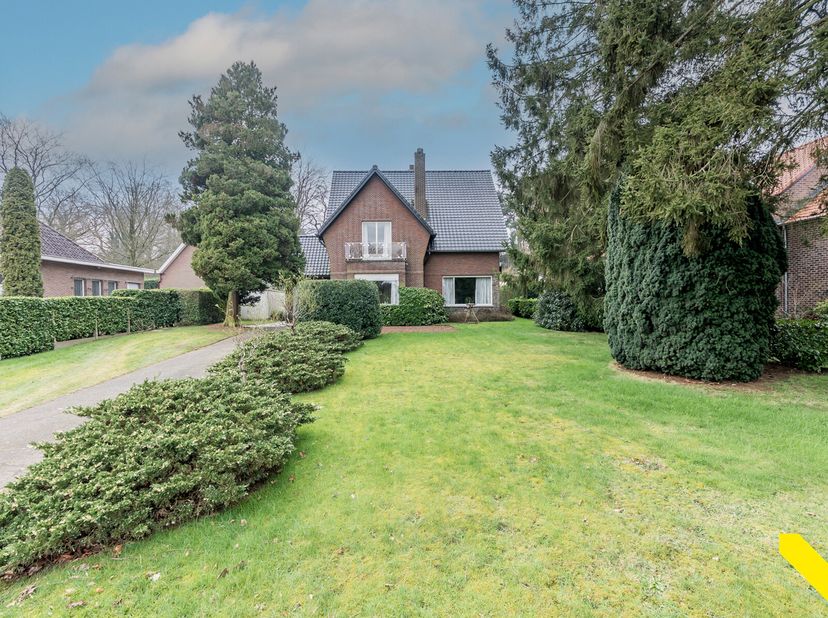 Maison à vendre
                    à 3980 Tessenderlo