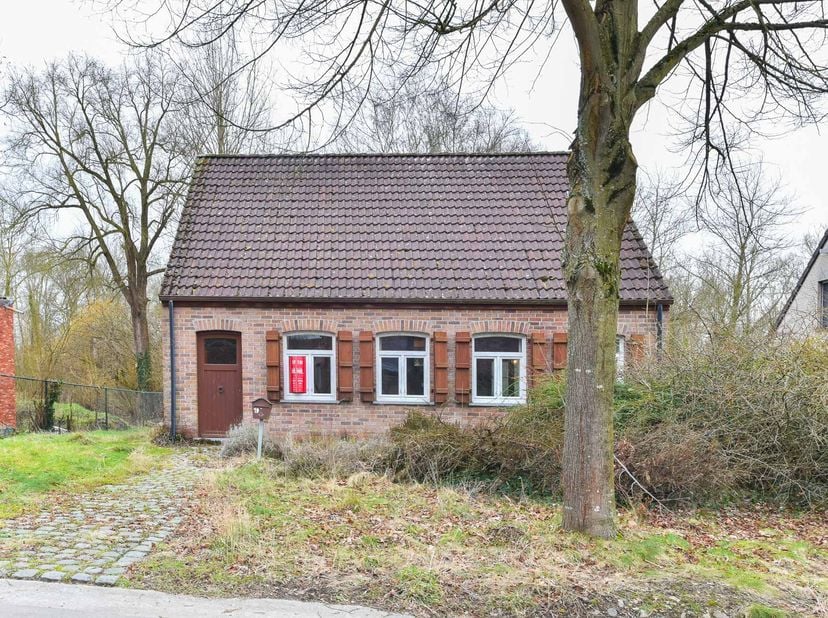 Alleenstaande te renoveren woning in groene, landelijke omgeving te Bierbeek&lt;br /&gt;
Deze alleenstaande woning biedt talloze mogelijkheden aan diegenen