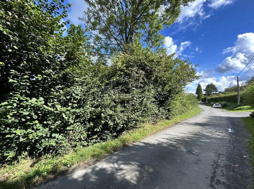 Découvrez ce terrain virtuellement : https://miniurl.be/r-5ohq - SEPTROUX*Magnifique parcelle à bâtir située dans une rue calme et verdoyante d&#039;une su