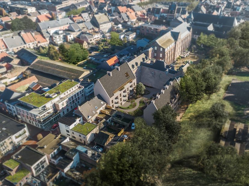 In het centrum van Maaseik, op de site waar vroeger de lagere school Kruisheren Ursulinen was gehuisvest, realiseerde Vestio het woonproject &quot;De Groen