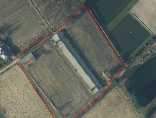                             Bâtiment d’entreprise à vendre à Begijnendijk
