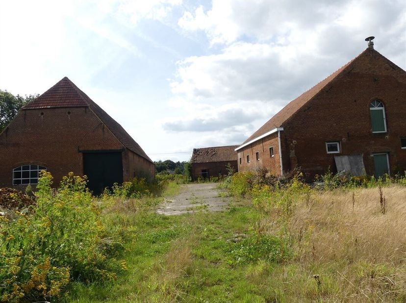 Prachtig renovatieproject ! Landelijk gelegen hoeve met bijgebouwen in een rustige en doodlopende straat ! Totale grondoppervlakte 1,1 hectare !