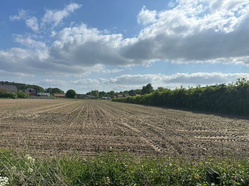 Terrain à vendre
                    à 2230 Herselt