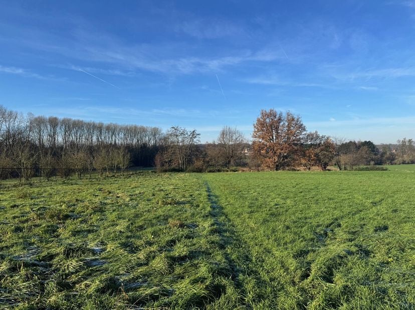 Uitstekend gelegen perceel grond gelegen in een verkeersarme straat!&lt;br /&gt;
Dit perceel ligt in woongebied met landelijk karakter en heeft dus nog geen