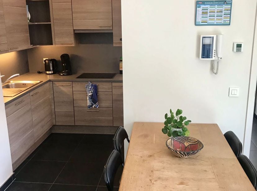 Mooi, luxueus appartement op een toplocatie in het centrum van Leuven, op wandelafstand van winkels en openbaar vervoer, gelegen op de 3de verdieping