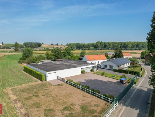                             Maison à vendre à Wortegem
