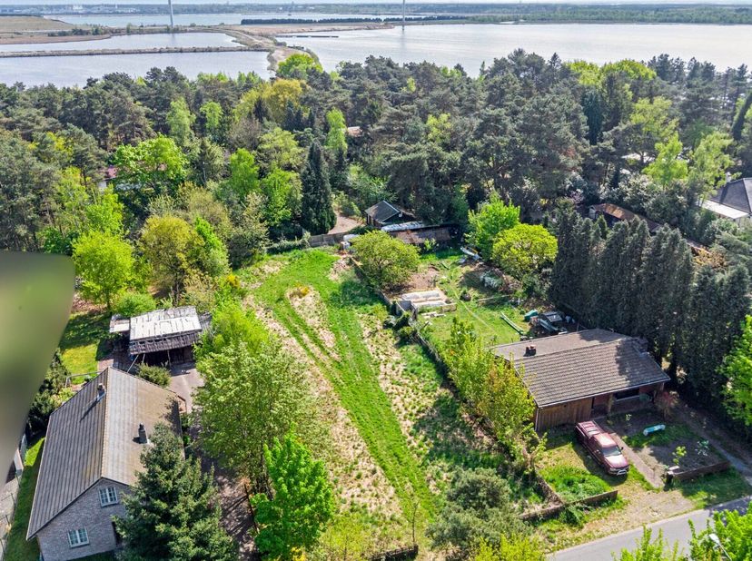 Terrain à vendre
                    à 3920 Lommel