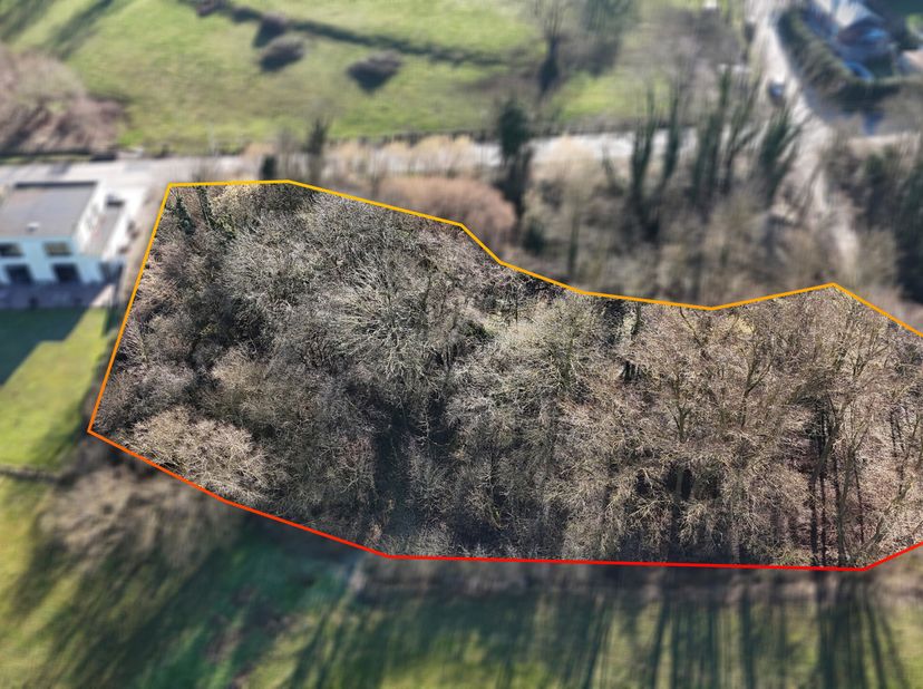 Nigel IMMO vous propose en exclusivité ce splendide terrain boisé de 4.251 m², idéalement situé dans la paisible commune d&#039;Oupeye. Niché dans un quart