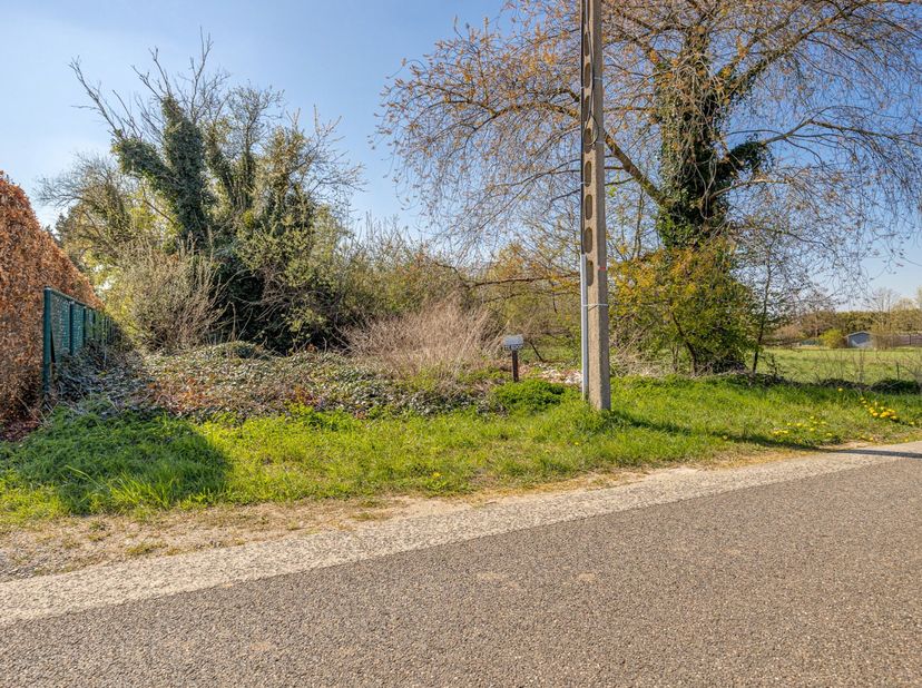 Terrain à vendre
                    à 3130 Begijnendijk