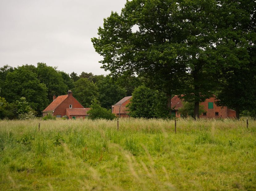 Mooi gelegen landhuis met schuur op 59 are aan de Hinnenstraat te Stekene. Ligging in natuurrijke en bosrijke omgeving. Goede en korte logistieke verb