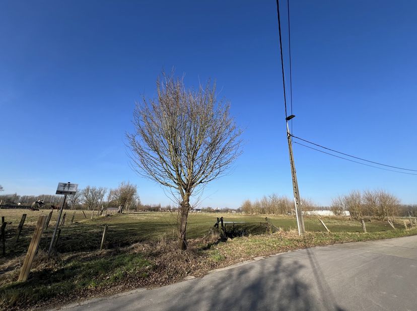 Voor meer info of een bezoek, bel 054 69 39 31. Op een strategische locatie te Nieuwerkerken (Aalst) vinden we deze weide met een oppervlakte van 79a