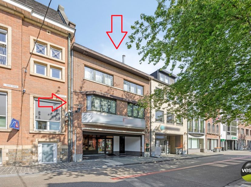 Bien professionnel à vendre
                    à 3740 Bilzen